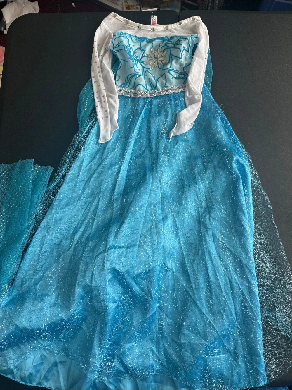 Girls Blue Princess Costume Dress with Embellished Bodice